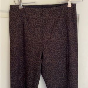 Liverpool pants size 12